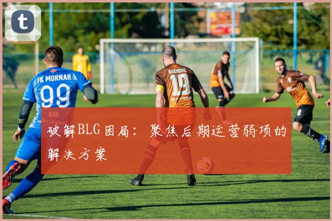 破解BLG困局：聚焦后期运营弱项的解决方案